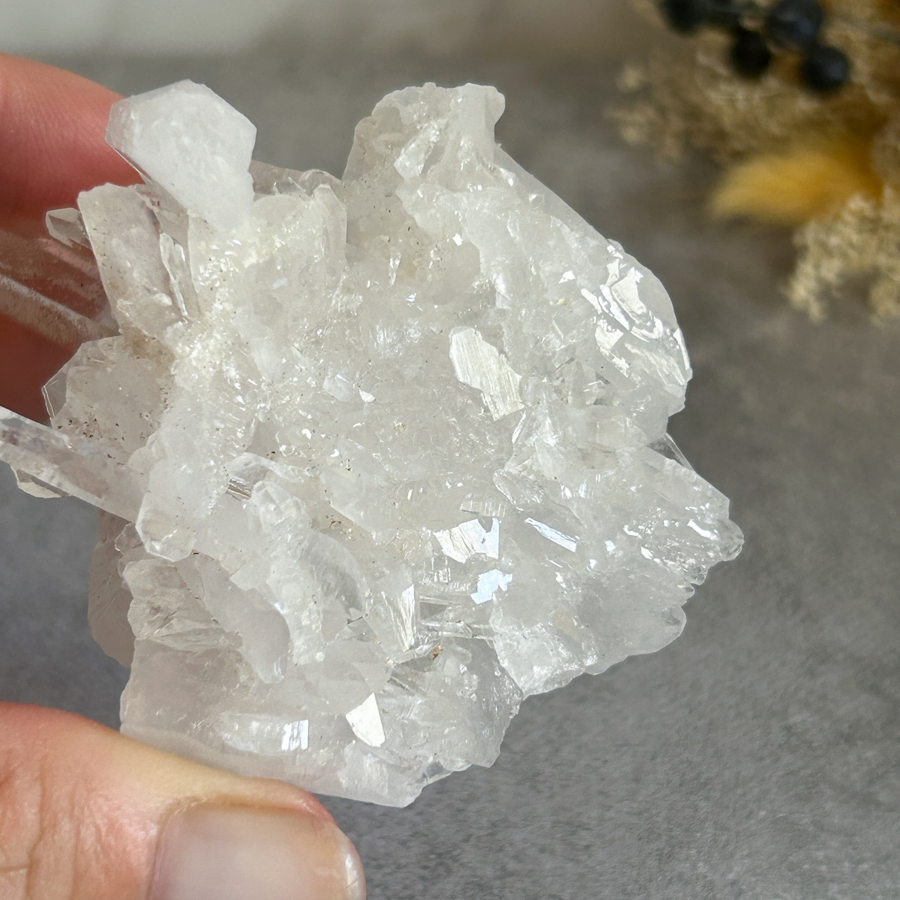 コロンビア産 レムリアンシード/レインボー・セルフヒールド