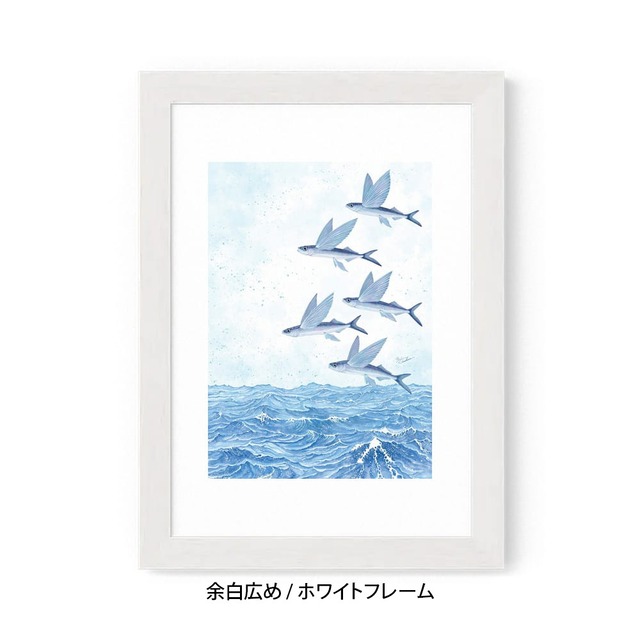 A5｜魚翔海図（ぎょしょうかいず）（フレームあり）