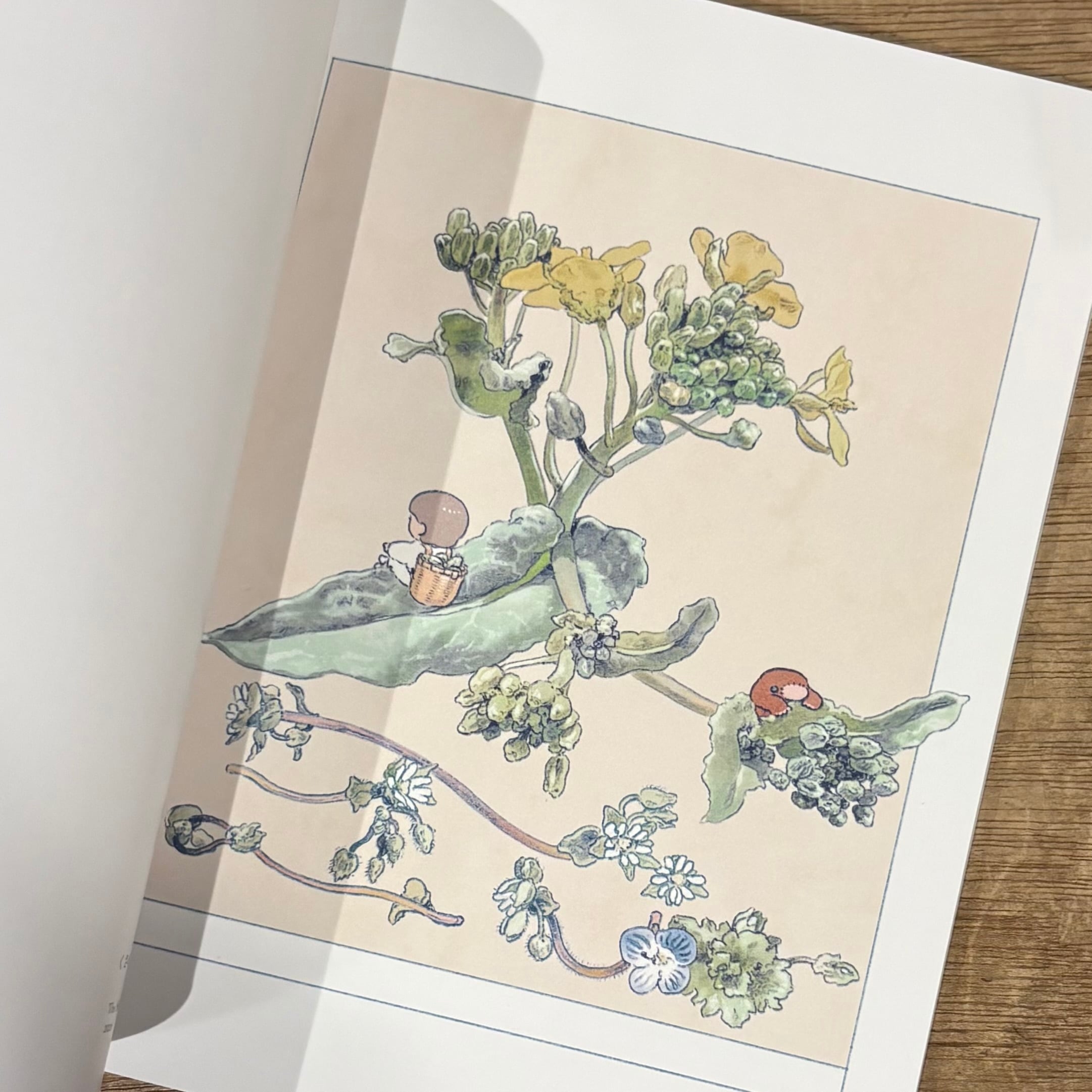 くさのねいき のもとしゅうへい [サイン入] | 百年