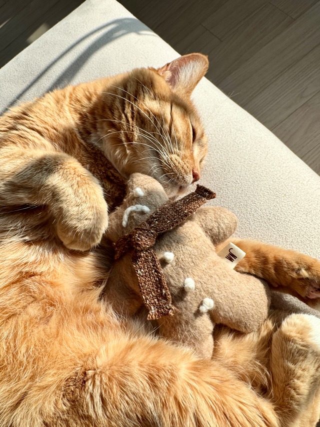 gingerman from WETNOSE 猫おもちゃ キャットニップ