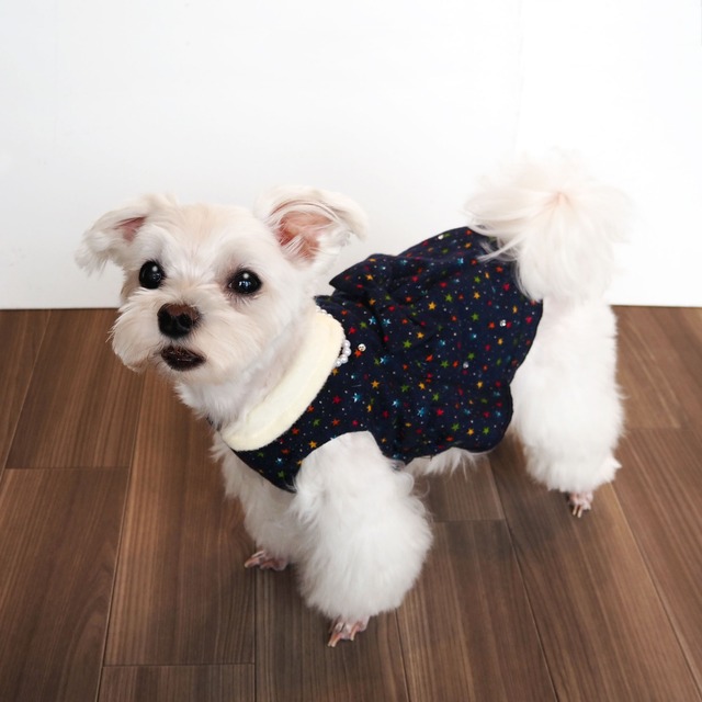 【ドッグウェア】　キラキラ星柄ワンピ