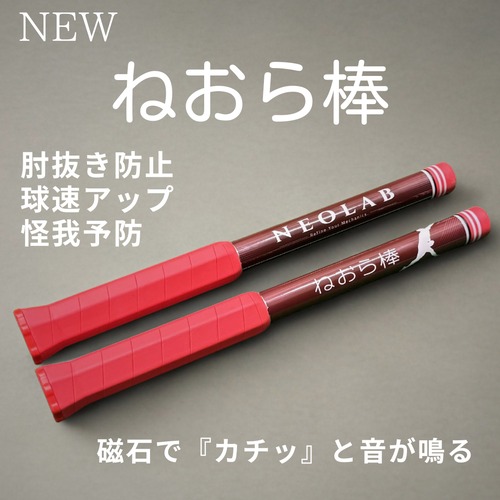 新ねおら棒 肘抜き改善スローイングスティック　