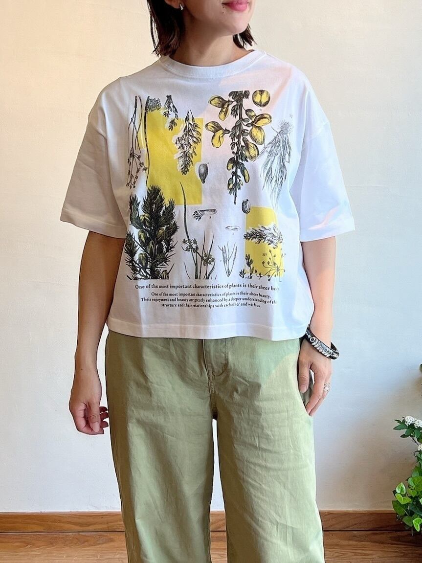 manipuri / SHORT SLEEVE T-SHIRT S【ボタニカル】 | anouk