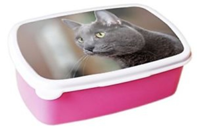 【送料無料】コラートピンクkorat cat animal pink lunchbox 183