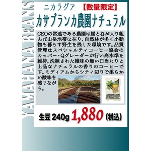 【数量限定】ニカラグア カサブランカ農園 ナチュラル（ニカラグア）生豆240gを焙煎