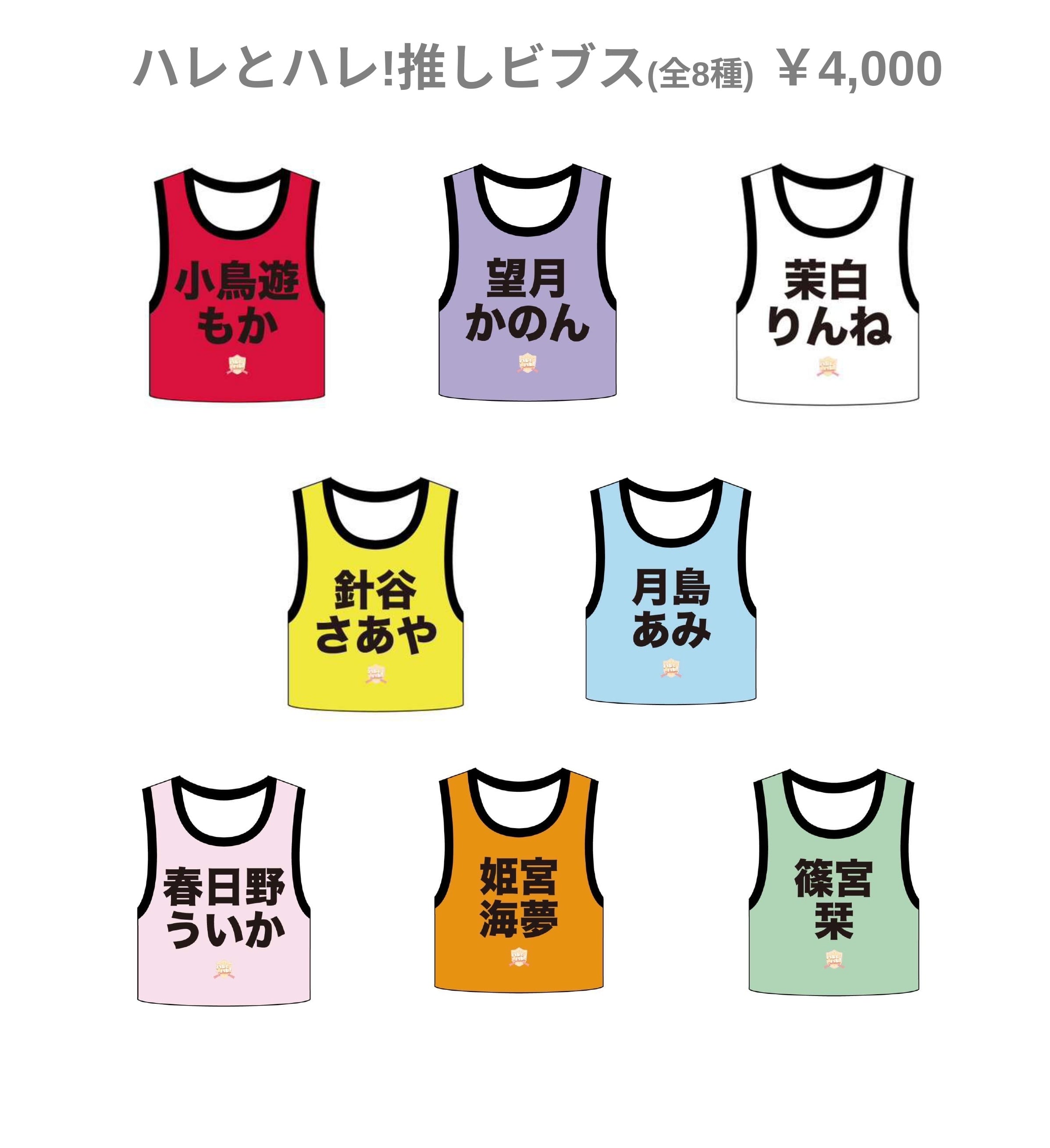 ハレとハレ！】推しビブス | caSTORY's Shop