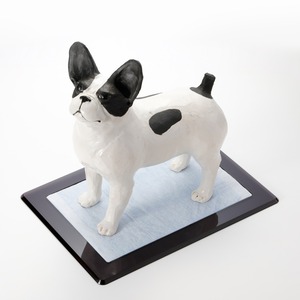 犬用トイレ『Flat 』レギュラートイレシート用 | デザイン会社がつくったペットデザイン家具ブランド「a i u e o CASA」