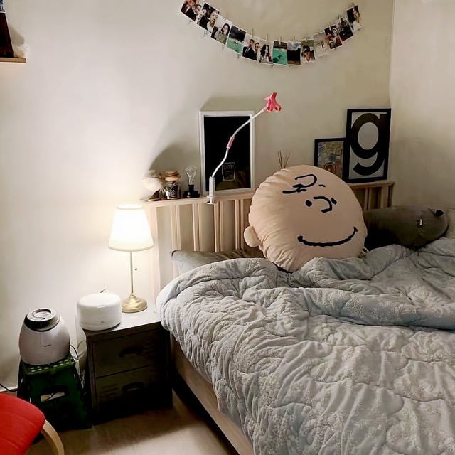 peanuts snoopy big cushion 3types / スヌーピー チャーリーブラウン