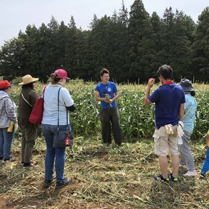 7/15　14：00～　三ツ星コーン収穫体験