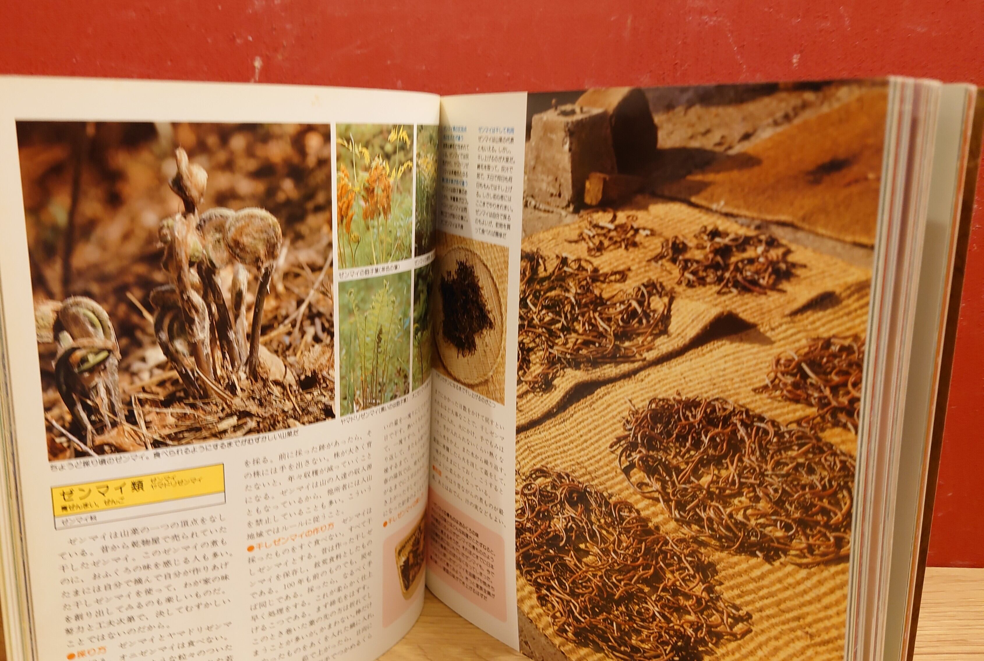 山の幸 山菜65 木の実45 きのこ50 | 弥生坂 緑の本棚
