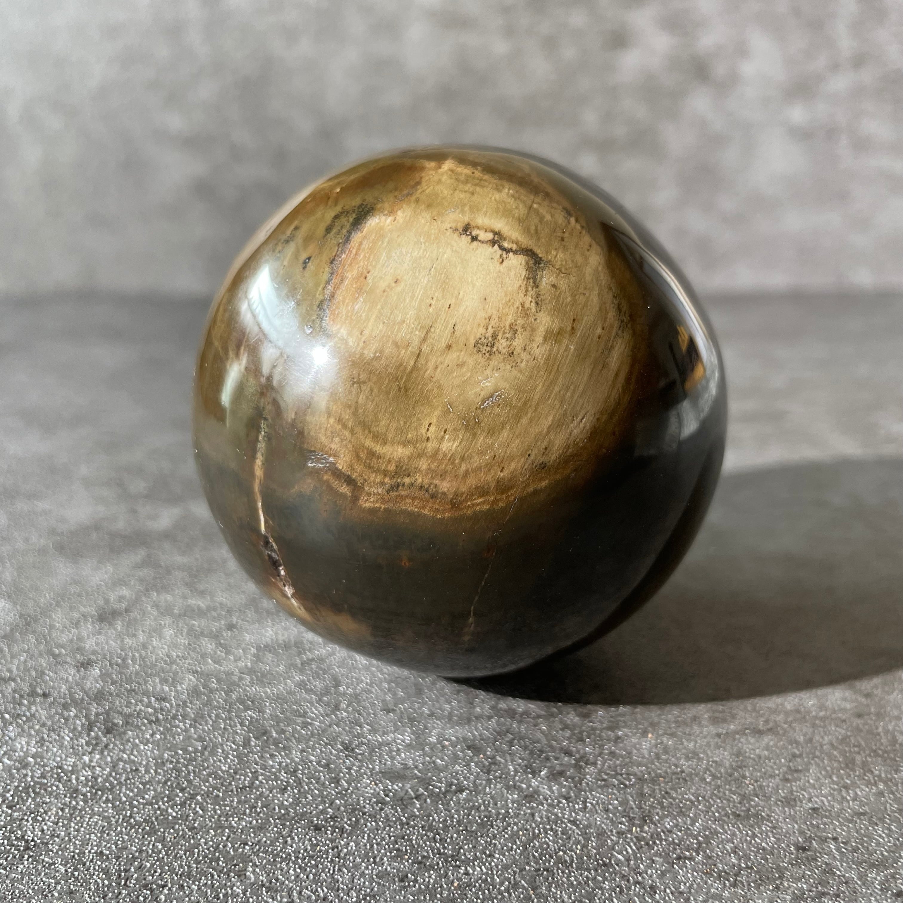 ジンバブエ産♦︎Petrified Wood ペトリファイドウッド|Sphere スフィア|天然石 パワーストーン 鉱物 gem stone