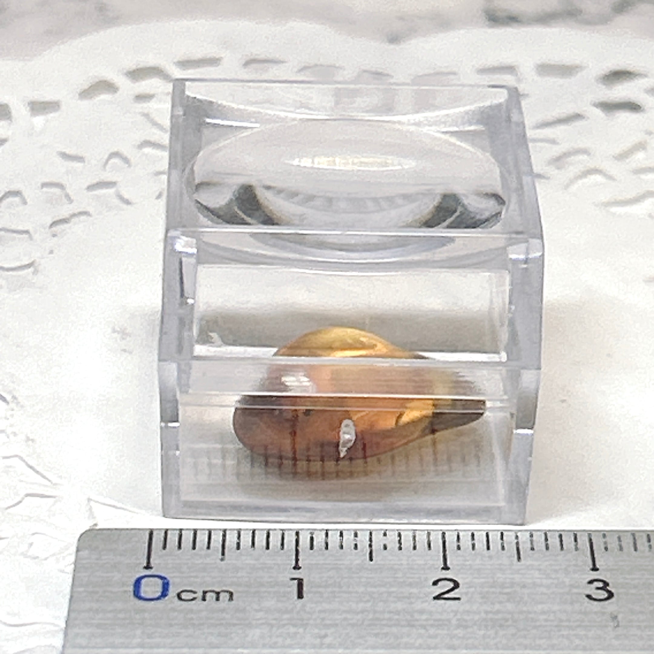 101159】 虫入り琥珀 虫入り 琥珀 こはく コハク 化石 虫入りコハク