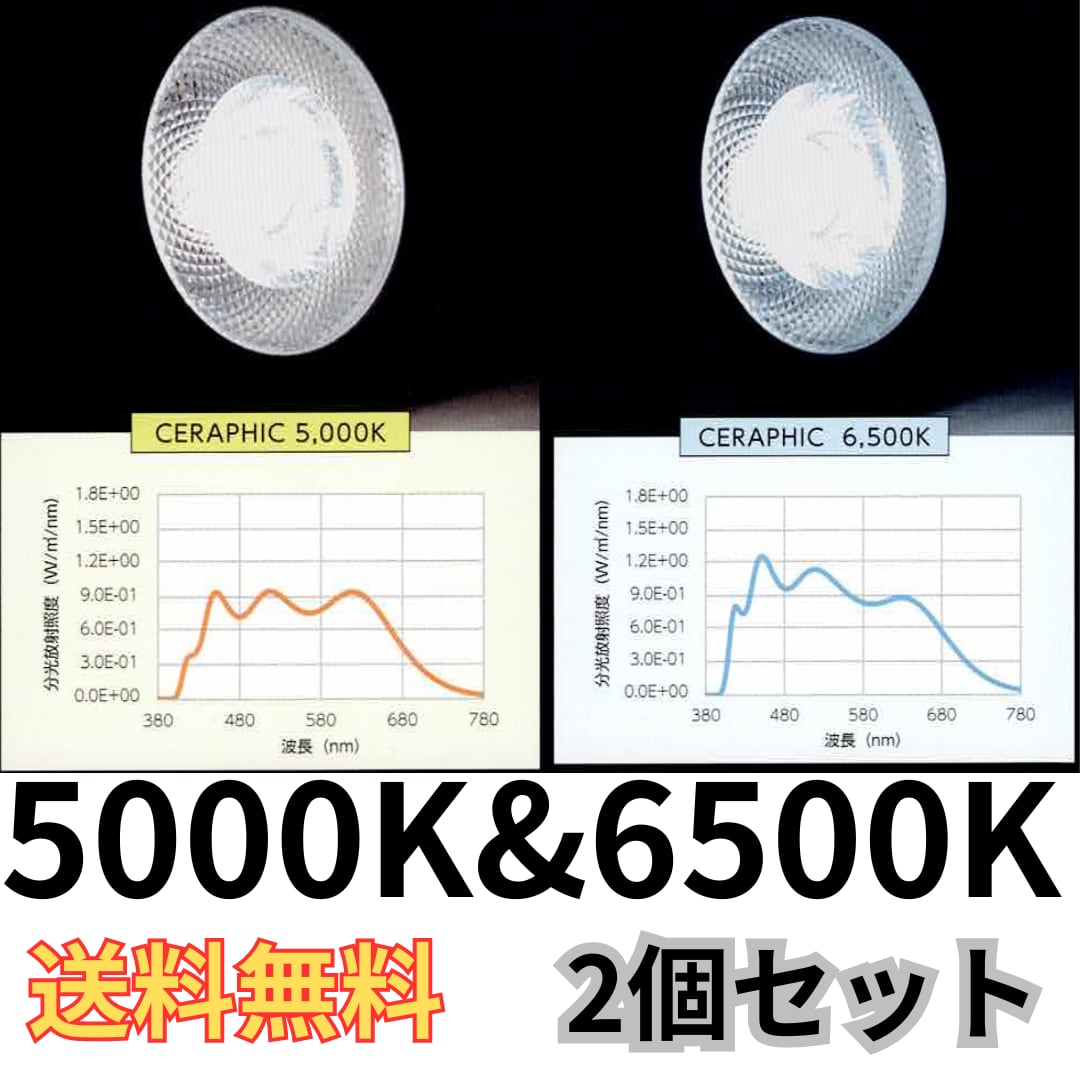 CERAPHIC 5000K 生き物電球 ba71627c9c19df86a6908bdd9aafb6