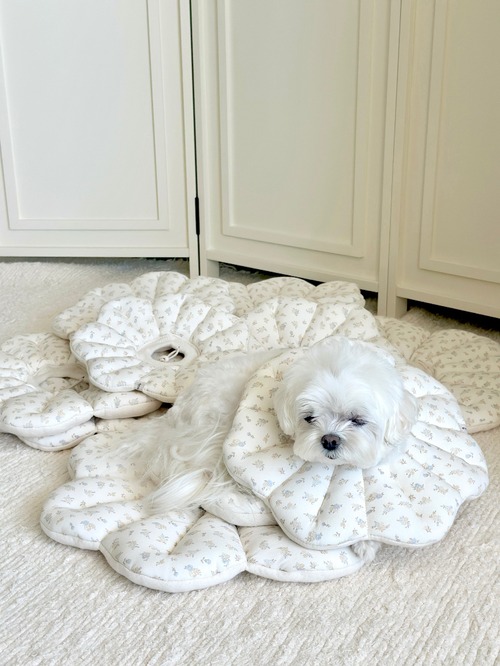 〈即納アイテム〉EYOU  ネックカラー / ピアナネックカラー(ミルクフラワー)Lサイズ