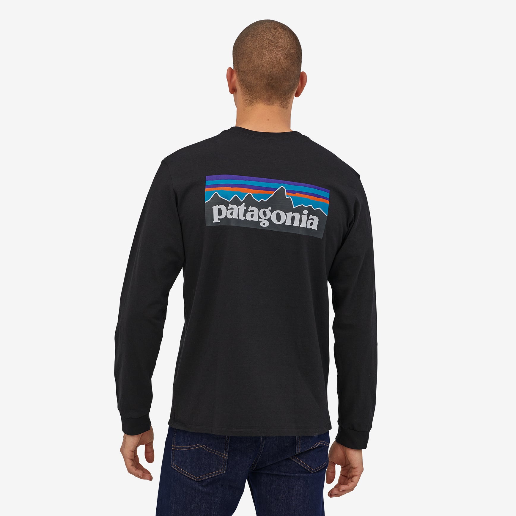 パタゴニア PATAGONIA Tシャツ 長袖 ロンT メンズ ロングスリーブ P-6