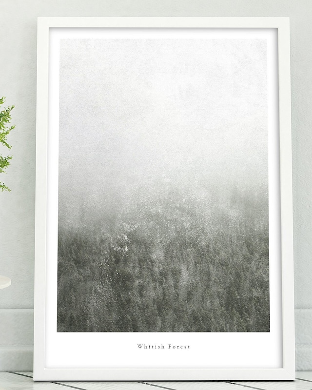 アートポスター / Whitish forest　eb050