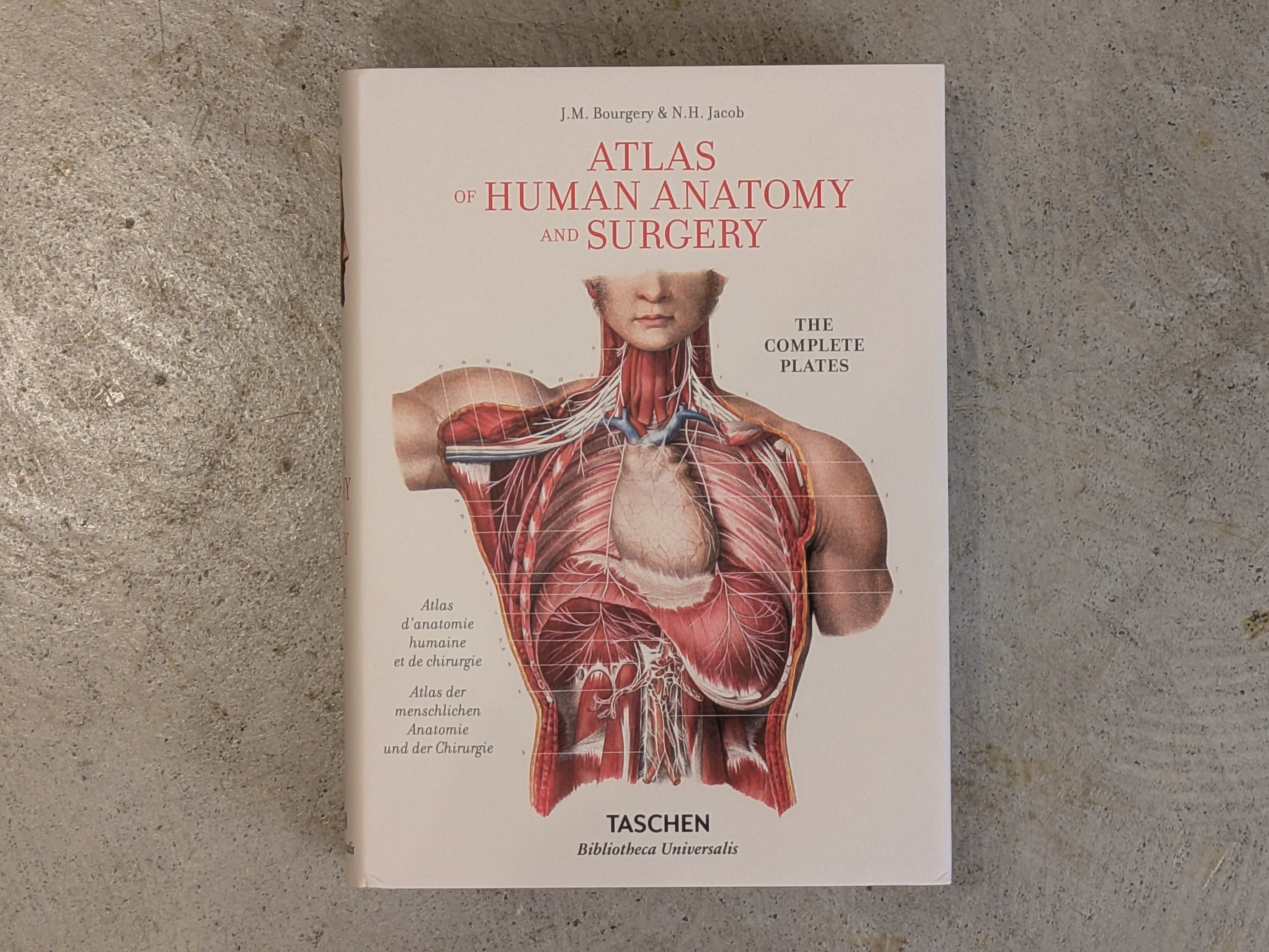 Bourgery : Atlas of Human Anatomy and Surgery / Taschen 解剖学  