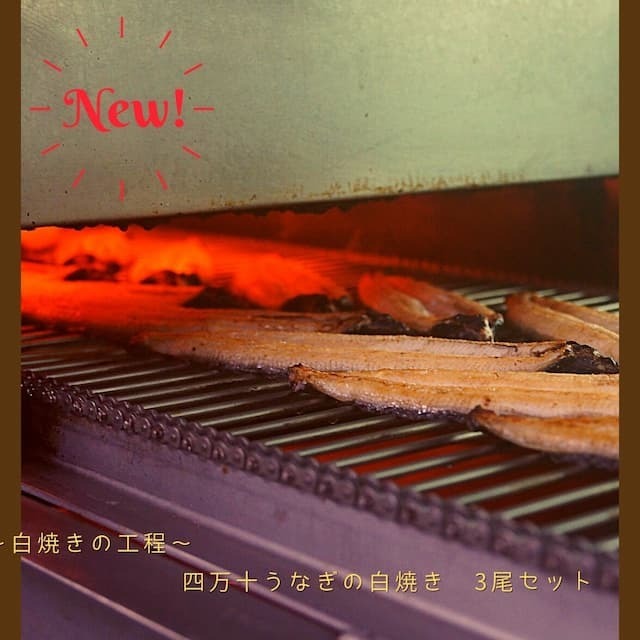 無添加 21 父の日 母の日 土用丑の日 四万十流の焼き方 室戸海洋深層水塩 健康志向 無添加 地下伏流水 プレゼント ギフト 食感 セルフ お取り寄せ 国産 脂肪 打ち水 高知 お中元 お歳暮 退職 Unseasoned Grilled Eel Lightly Grilled 005 026 四万十うなぎの白焼き3尾