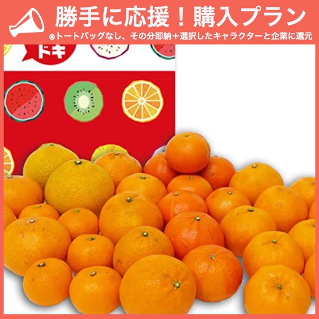 【勝手に応援プラン】旬の柑橘セット 5kg【河内晩柑、紅甘夏、日向夏、なつみ、清美　などから3種類以上】