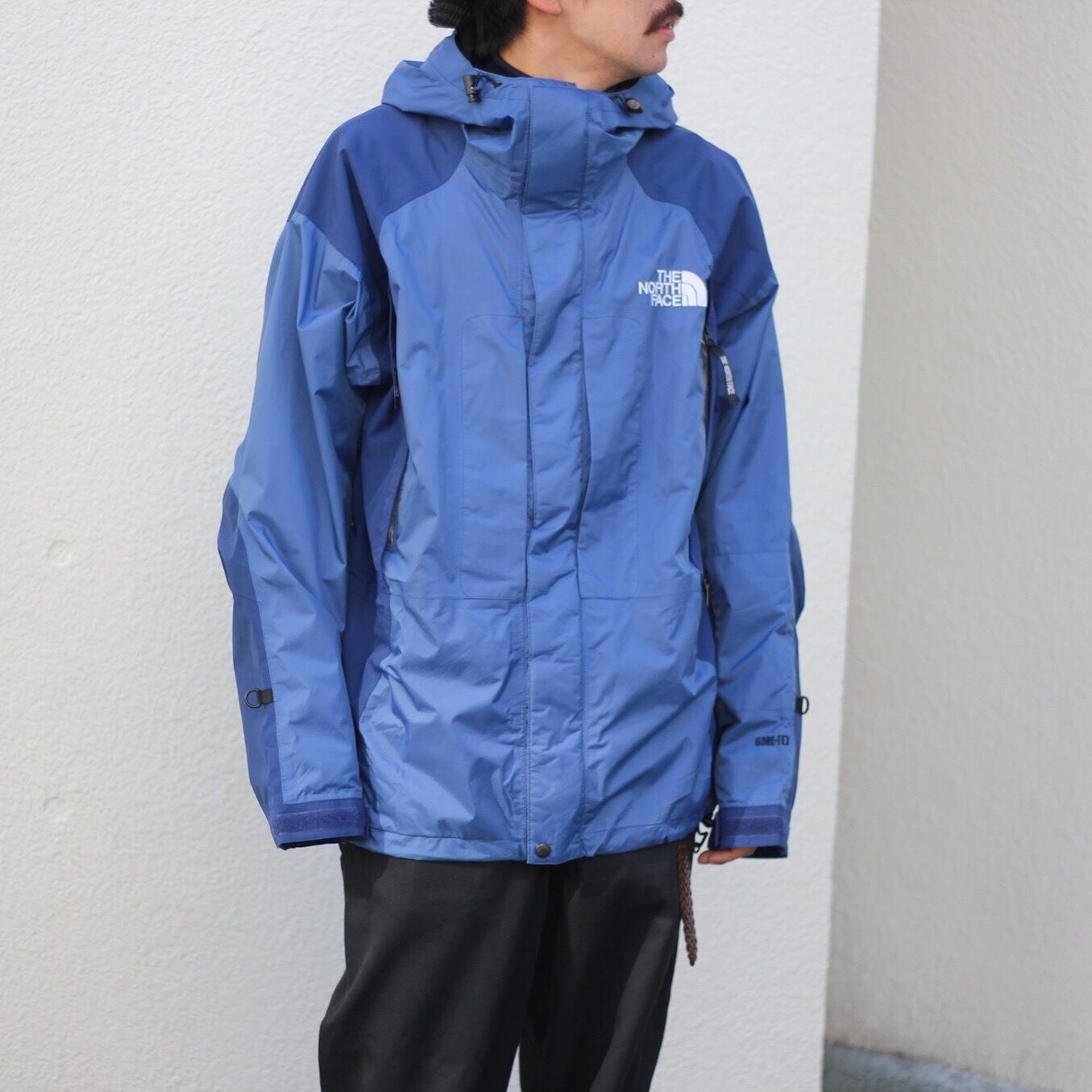 THE NORTH FACE ゴアテックスマウンテンパーカー FF   cv