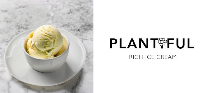 【冷凍】プレミアムリッチバニラ 業務用 プラントベースアイス Plantiful ヴィーガン アイスクリーム Premium Rich Vanilla