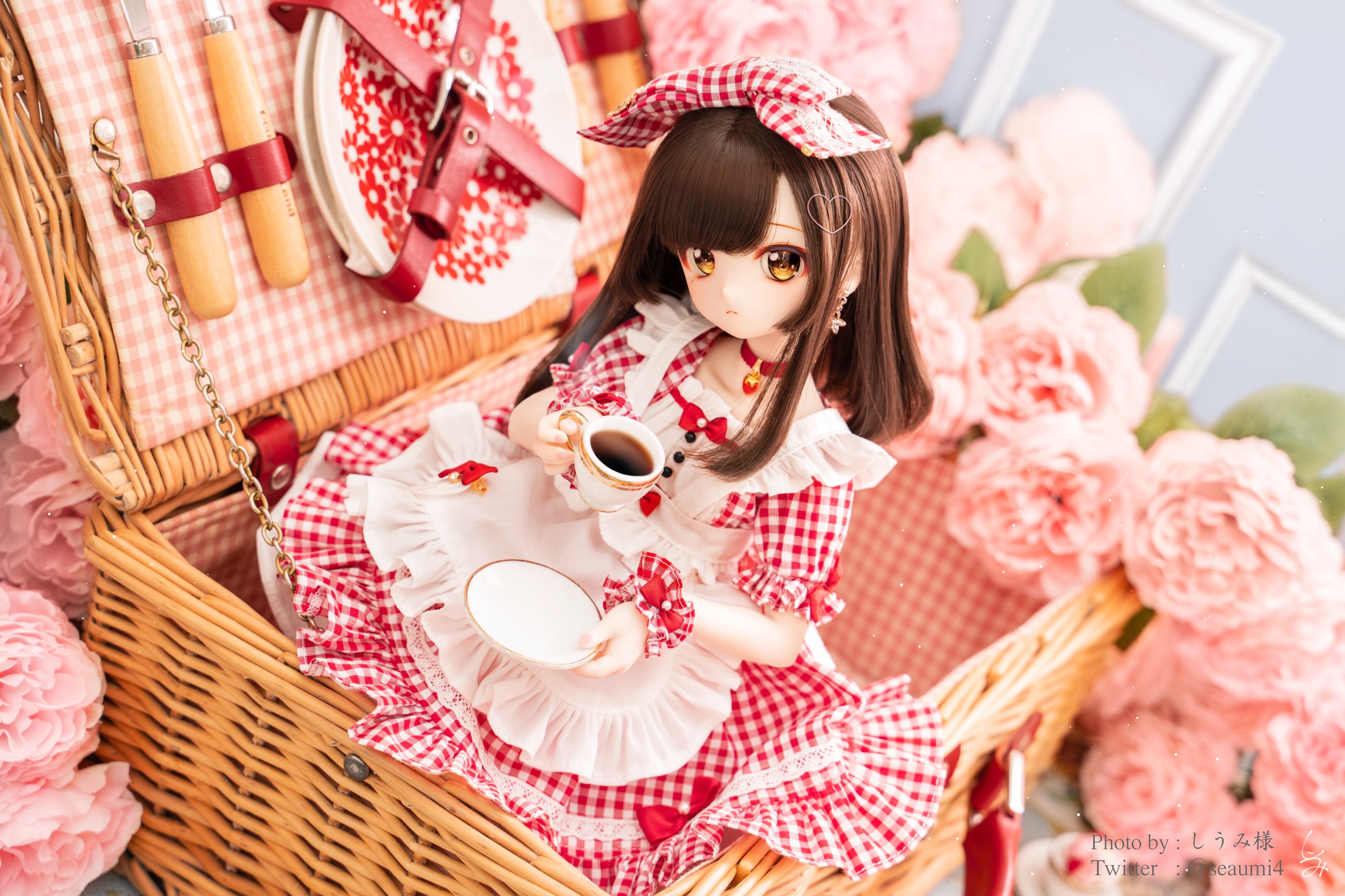 MDD / DDP / SDM対応OF【ツインシスターズ☆苺ちゃんバスケット】 MDD