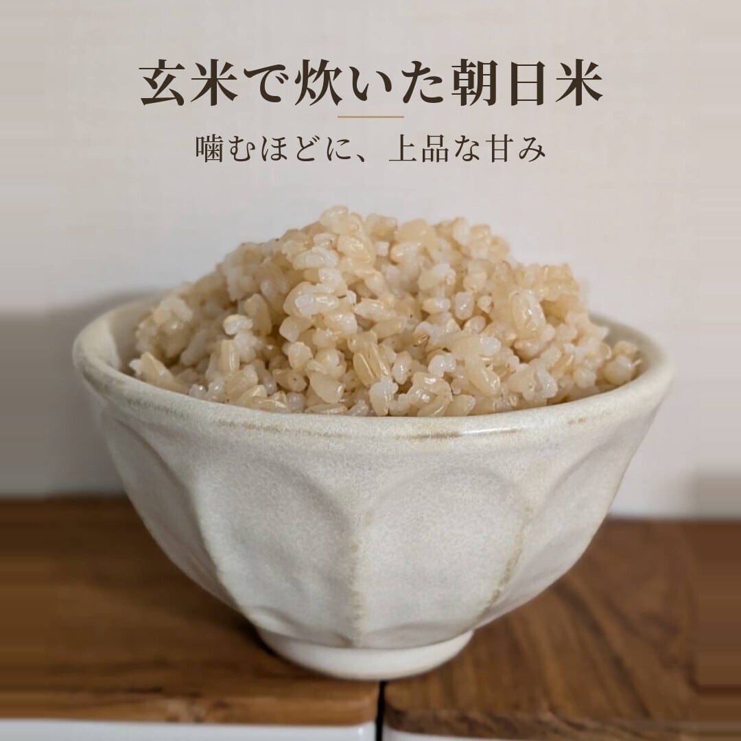 自然栽培 朝日米 定期便｜毎月 30kg｜玄米｜無農薬｜岡山県倉敷産