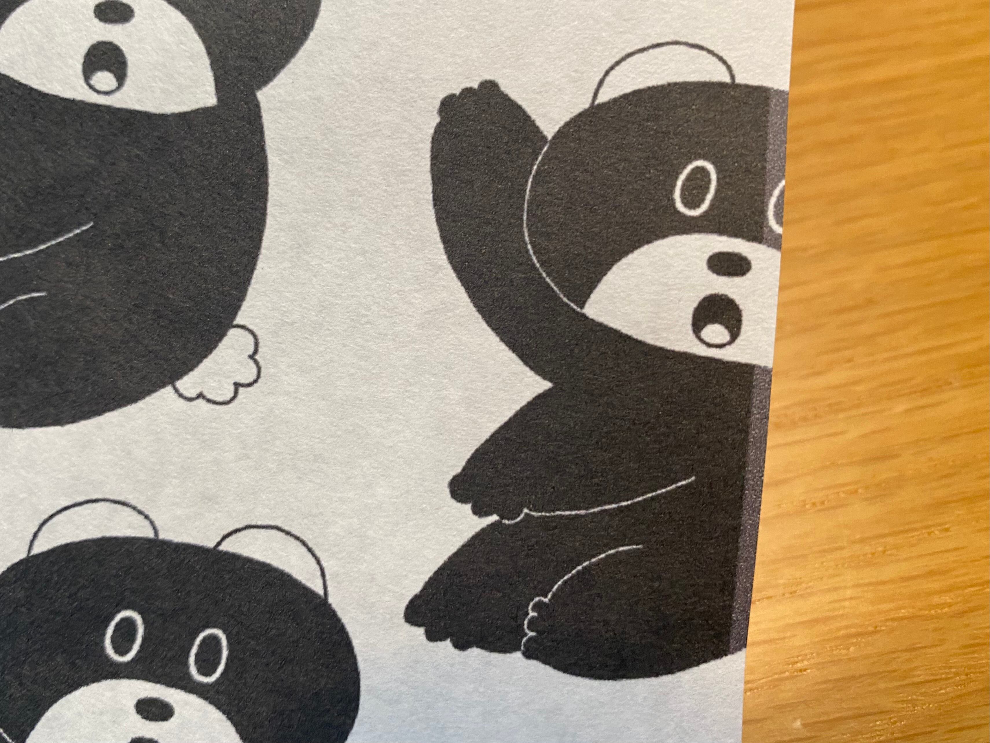 BB BEAR PAPER SET _ くろっくま