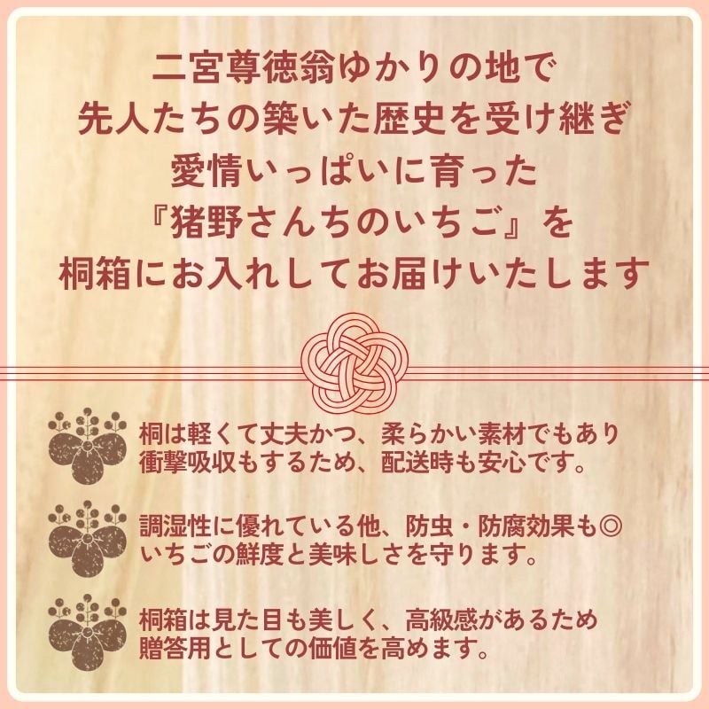 桐箱入り] - 尊い苺 - 猪野さんちのいちご4種セット（とちひめ・とち