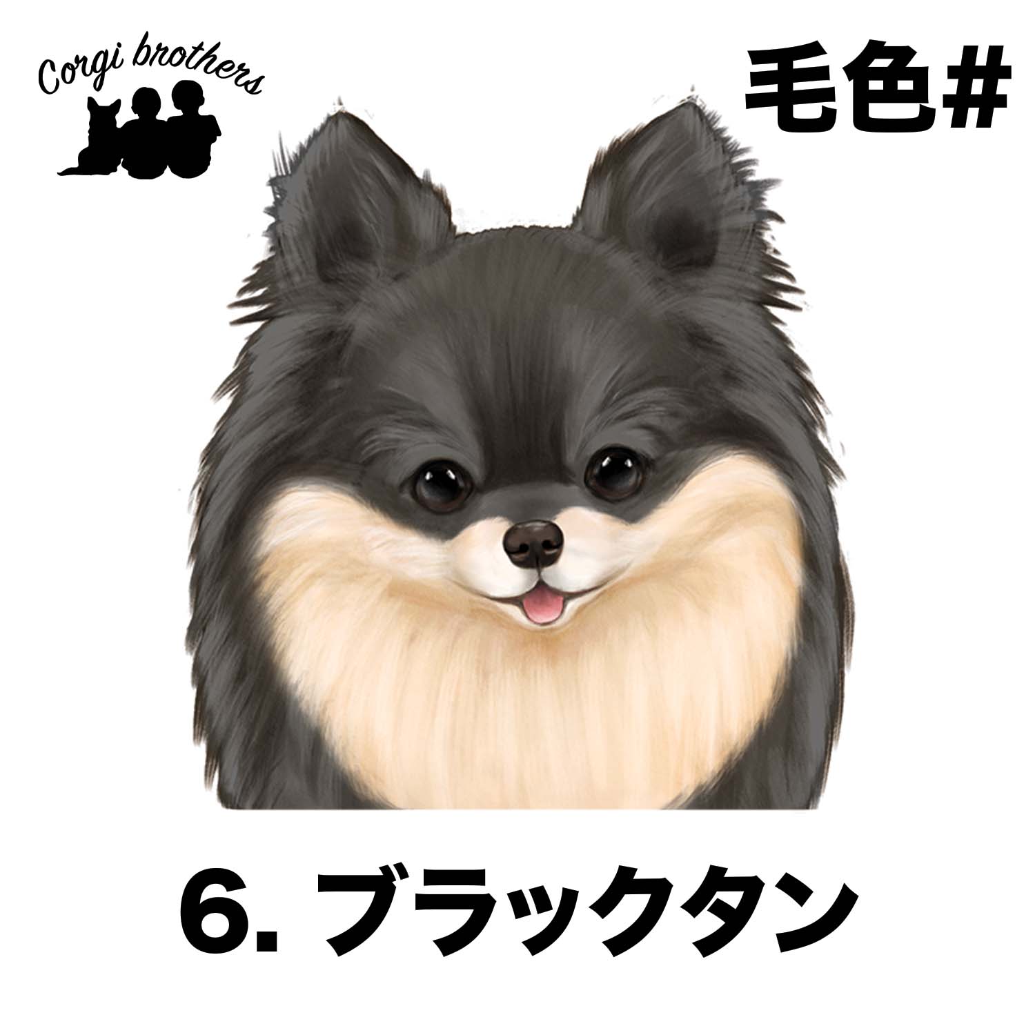 ポメラニアン 水彩画風 毛色6色 】 タオルハンカチ ピンク＆ブルー2枚