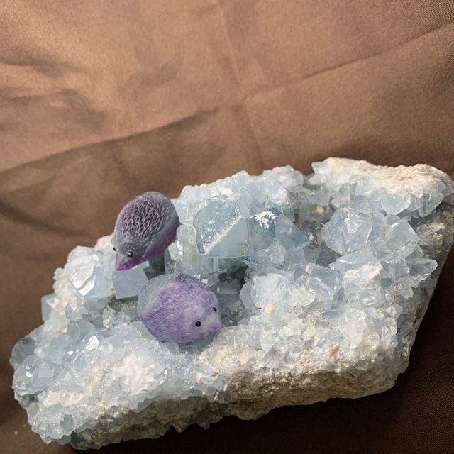 4セレスタイトに住み着いているフローライトハリネズミさん