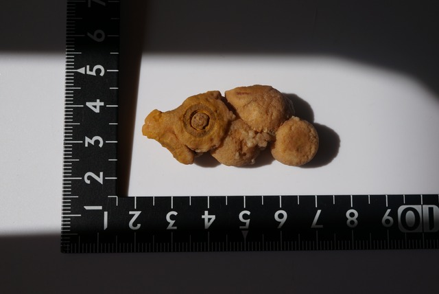 ゴビアゲート 特殊 Gobi Agate 1316