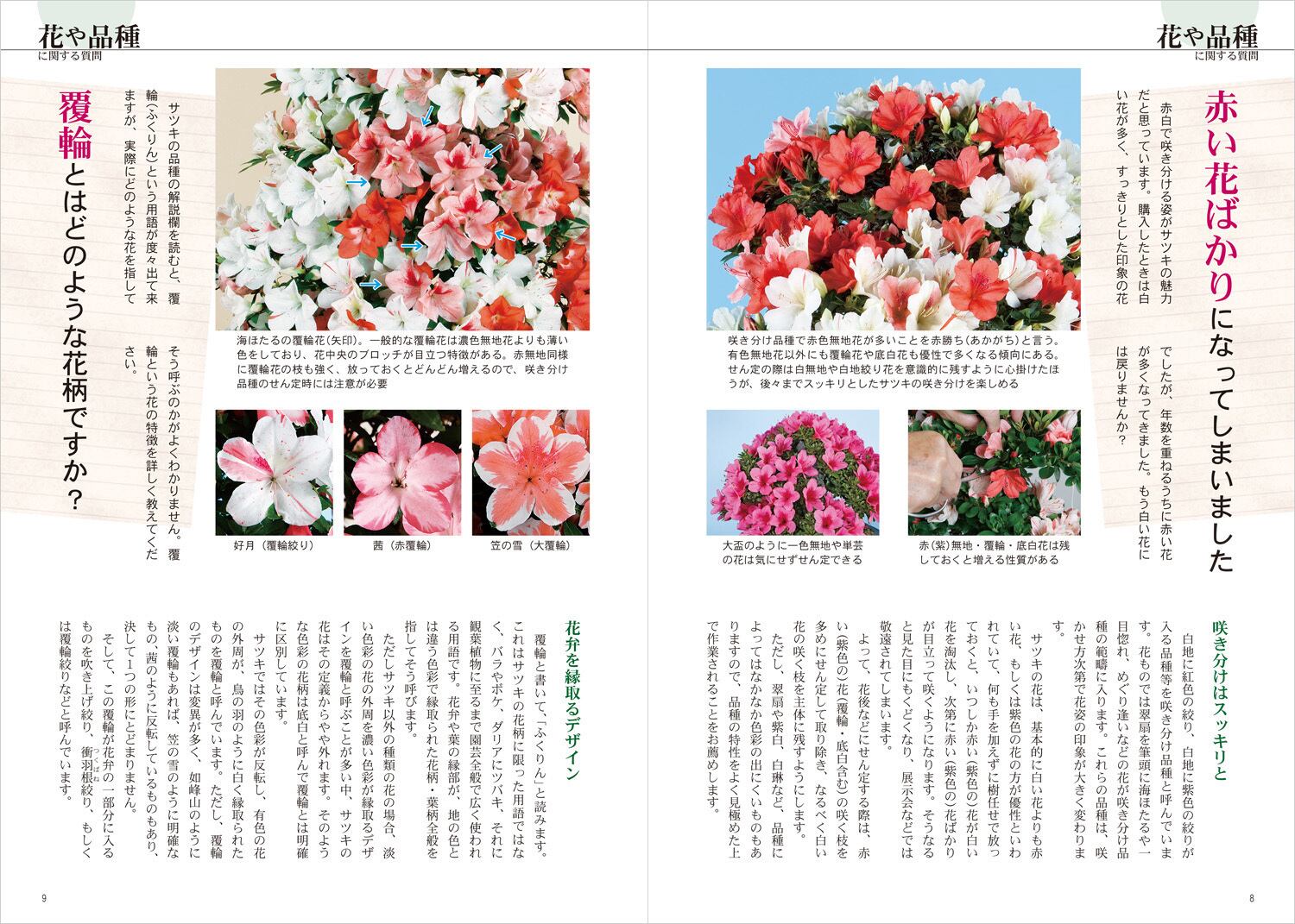話題の人気 satuki様専用 ienomat.com.br