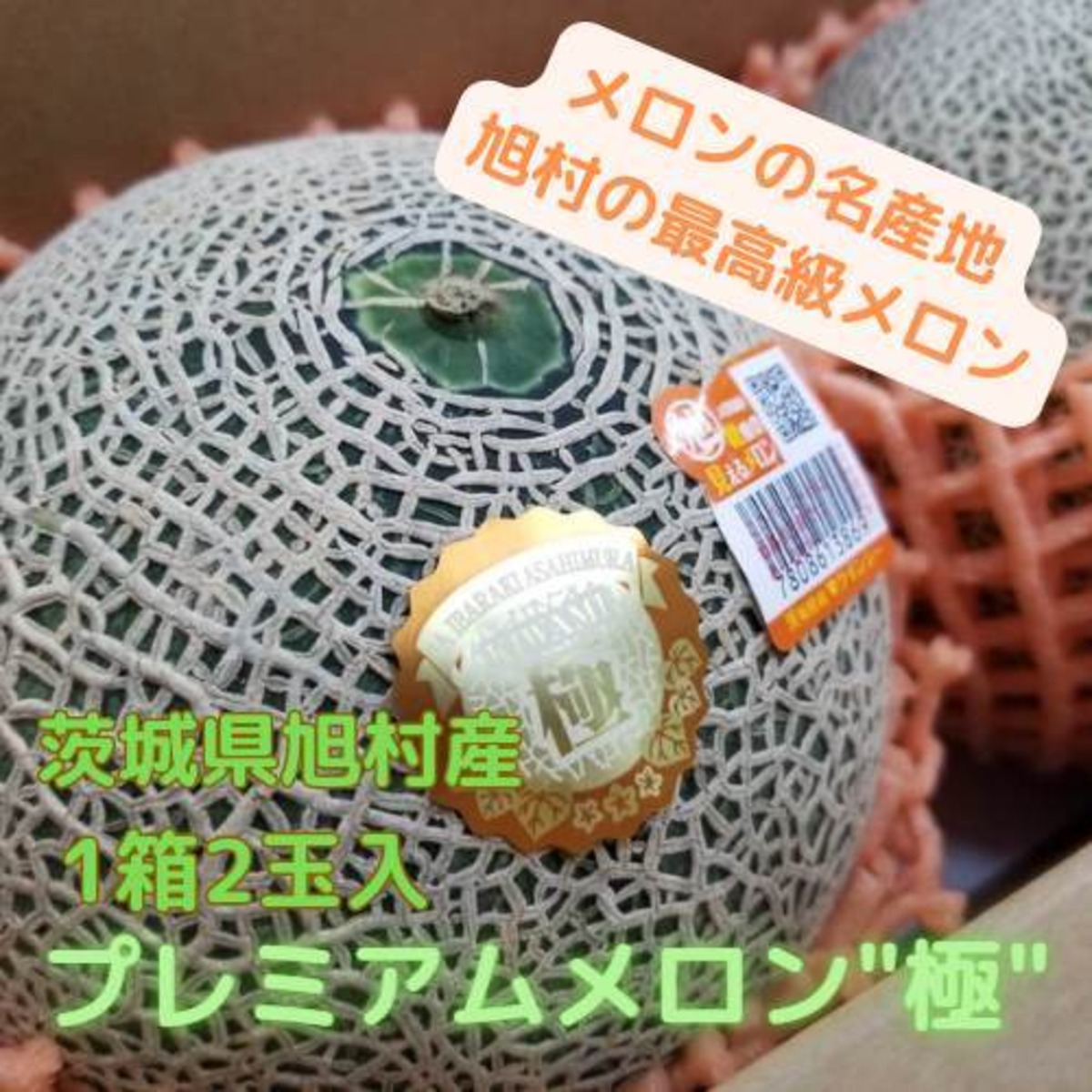 幻のメロン】茨城県旭村産 プレミアムメロン”極” 2玉 化粧箱入 糖度18 