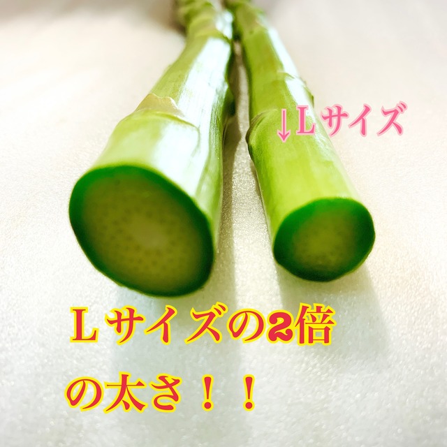 【売切れ必須！ご注文はお早めに!】2L以上極太アスパラ！1kg入り！発送は5月～】
