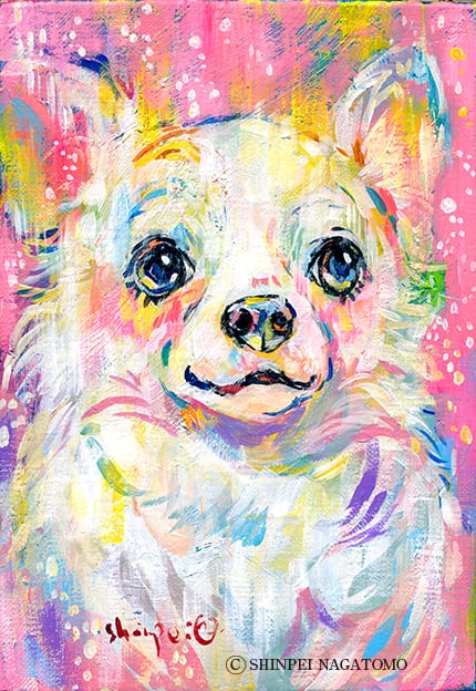 チワワ | 長友心平shop