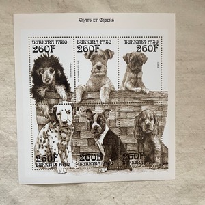 モノクロな犬たちの切手