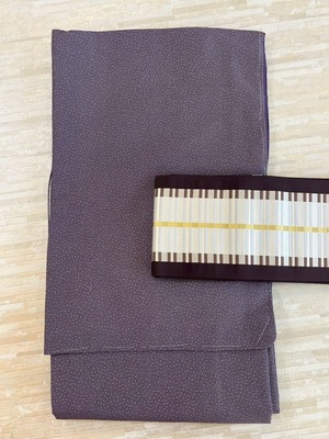 洗える着物 プレタ江戸小紋