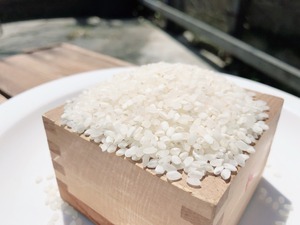 小豆島産　千枚田の新米　5kg