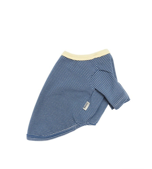 〈即納アイテム〉Dverry / ソフト ストライプ Tシャツ(Blue)