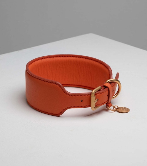 2.8 Mario - sighthound collar