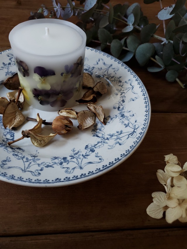 Sarreguenines ガトープレートMOZART