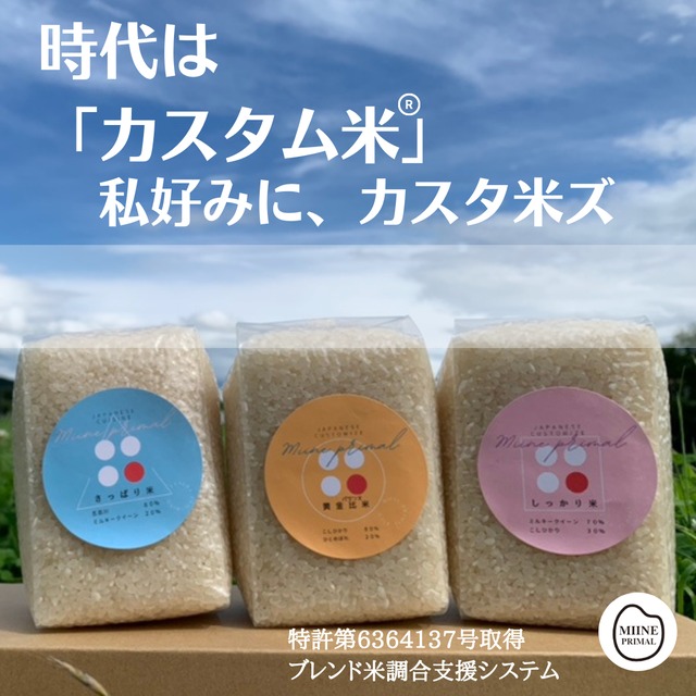 【カスタム米】しっかり米／黄金バランス米／さっぱり米／2合×3種類