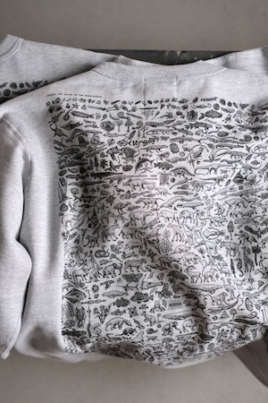 "RAYTROLL" "Evolve Crew Fleece neck sweat"