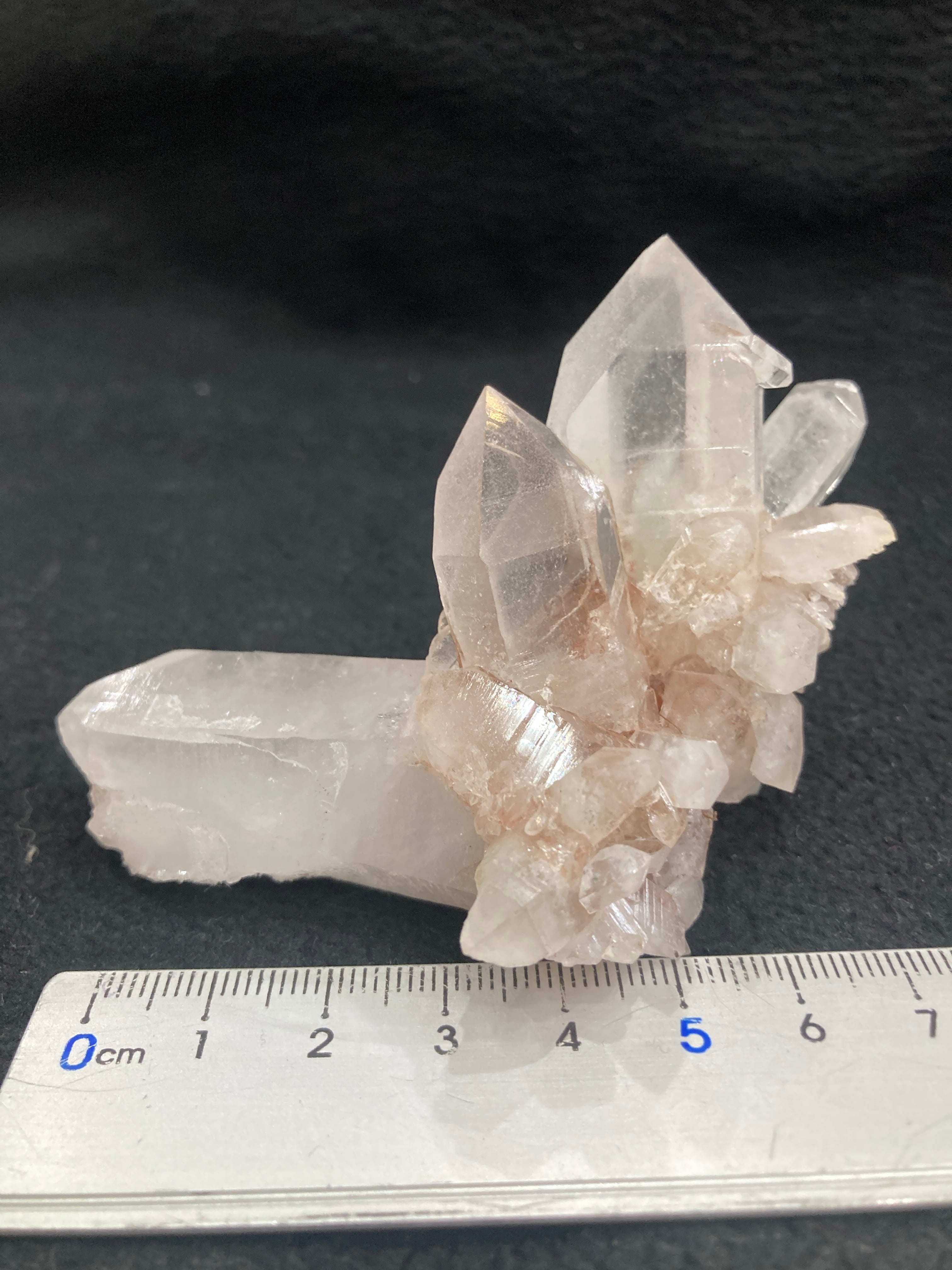 No.14☆十五眼天珠☆才能開花・願望成就 | クリスタル・ワールド御徒町店