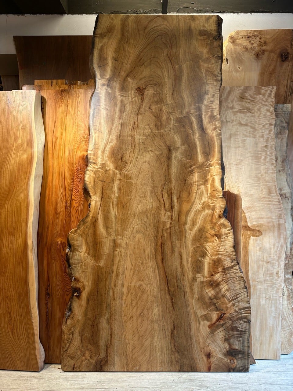 楠(クス)_2400×870-930-1200×50_浅草本店_テーブル天板/一枚板 252606-1