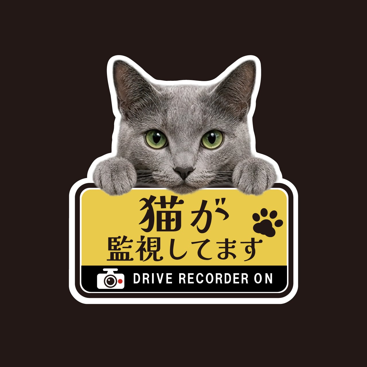 ロシアンブルー・猫・CAT・cat・ドライブレコーダー・ドラレコステッカー・撮影中・車・ステッカー・インクジェット印刷・屋外用・猫好き・ドライブグッズ・監視しています・おもしろい・かわいい・肉球
