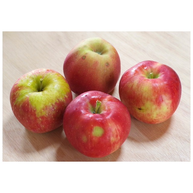 シナノスイート １０ｋｇ家庭用