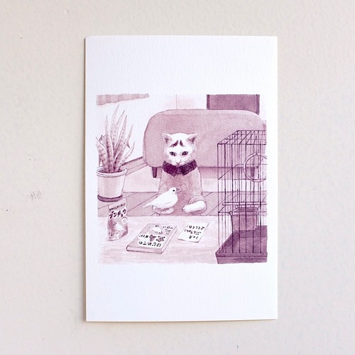 【出口かずみ】ポストカード「小八・とまどい」