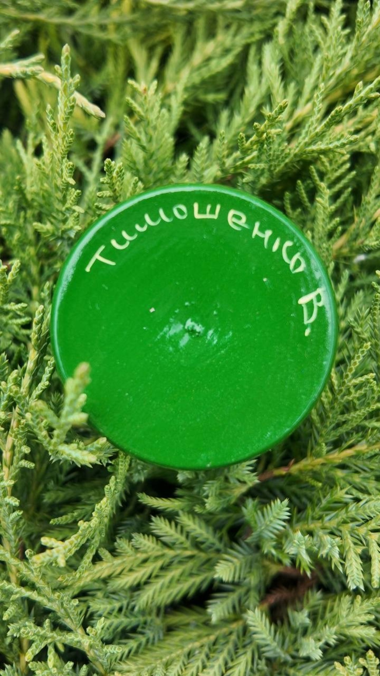 クリスマスデコレーション　クリスマスツリー1点のみ（ティモシェンコ作） - 13